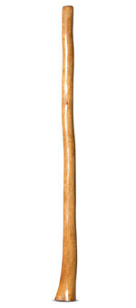Gloss Finish Flared Didgeridoo (TW1316)